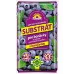 Forestina Standard substrát Borůvky a ostatní kyselomilné rostliny 40 l – Zboží Dáma