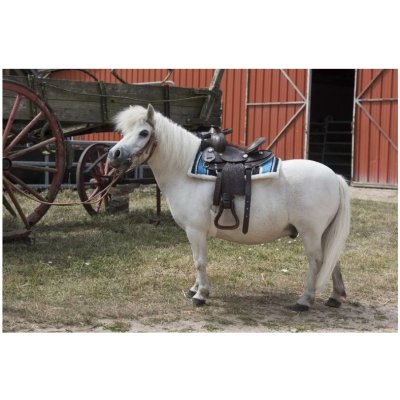 WESTRIDE Westernová podsedlová deka Quilted Navajo červená černá bílá – Zboží Dáma