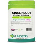 LINDENS Health + Nutrition Zázvor 500 mg, 90 tablet – Hledejceny.cz