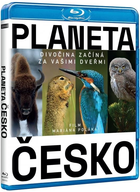 Planeta Česko BD