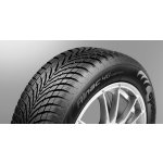 Apollo Alnac 4G Winter 195/65 R15 91H – Hledejceny.cz