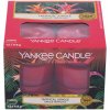 Svíčka Yankee Candle Tropical Jungle 49 g