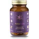 Naturlabs Liposomal Glutathione 60 kapslí – Hledejceny.cz