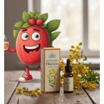 Grešík Třezalka bylinné kapky 50 ml – Hledejceny.cz