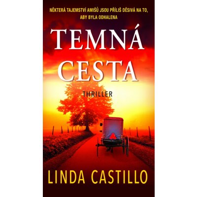 Temná cesta - Linda Castillo