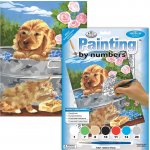 Royal Langnickel Malování podle čísel 22 x 30 cm Koupání přátel – Hledejceny.cz