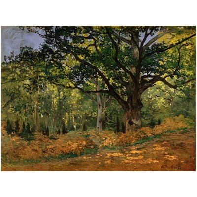 Fedkolor Claude Monet - The Bodmer Oak, Fontainebleau Forest obraz barevná – Hledejceny.cz