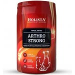 Holista Arthro Strong doplňky stravy pro psy a kočky 200 g – Hledejceny.cz