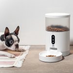 TESLA Smart Pet Feeder TSL-PC-BL4 4 l – Sleviste.cz