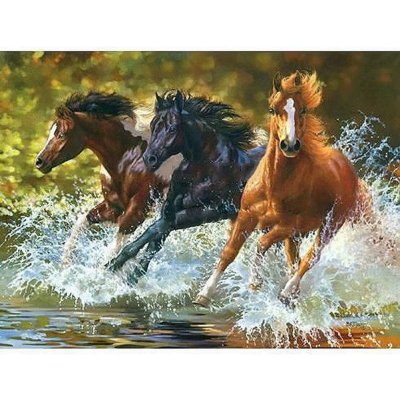 Norimpex Diamantové malování Koně v řece 30 x 40 cm – Zboží Mobilmania