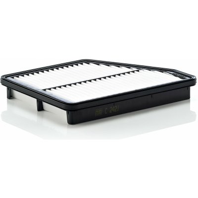 Vzduchový filtr MANN-FILTER C 2421 (C2421) – Hledejceny.cz