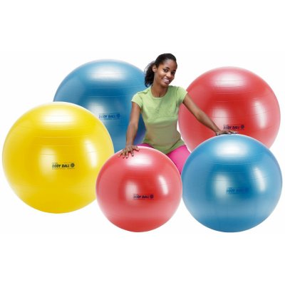 Ledraplastic Gymnic Body ball BRQ 95 cm – Hledejceny.cz