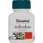 Himalaya Tribulus 60 kapslí – Hledejceny.cz