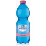 San Benedetto PET neperlivá 500 ml – Zboží Mobilmania