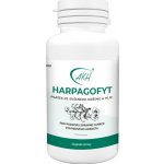 Harpagofyt ro podporu pohybového aparátu 100 g – Hledejceny.cz