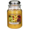 Svíčka Yankee Candle Tropical Starfruit 623 g