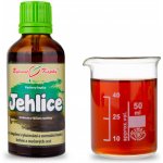 Bylinné kapky Jehlice tinktura 50 ml – Hledejceny.cz