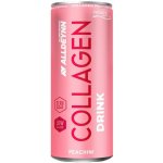 AllNutrition Collagen drink broskev 330 ml – Hledejceny.cz