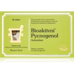 PHX Bioaktivní Pycnogenol 90 tablet – Hledejceny.cz