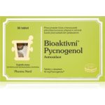 Pharma Nord Bioaktivní Pycnogenol 90 tablet – Zbozi.Blesk.cz