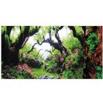 Hobby pozadí Deštný prales 50 x 60 cm – Zbozi.Blesk.cz