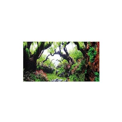 Hobby pozadí Deštný prales 50 x 60 cm – Zbozi.Blesk.cz