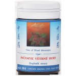 TCM Herbs Průsmyk větrné hory 100 tablet – Hledejceny.cz