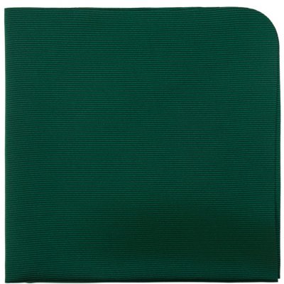 Avantgard Kapesníček do saka Lux 583-22389 zelená – Hledejceny.cz