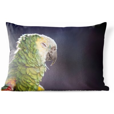 MuchoWow Vnější polštář Spící papoušek zblízka 60x40