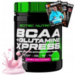 Scitec Nutrition BCAA + Glutamine Xpress 300 g – Zbozi.Blesk.cz