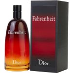 Christian Dior Fahrenheit toaletní voda pánská 50 ml – Zboží Dáma