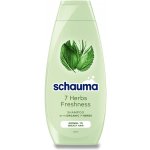 Schauma 7 bylin šampon pro normální a mastné vlasy 400 ml – Hledejceny.cz