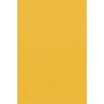 Amscan ubrus papírový 137cm x274cm – Sleviste.cz