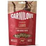 CARNILOVE Cat CRUNCHY Snack Lamb enriched with Blackberries 50 g – Hledejceny.cz