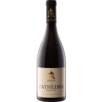 Erdevik Ex Cathedra Sauvignon Blanc 2022 Bílé 13.5% 0.75 l (holá láhev) – Hledejceny.cz