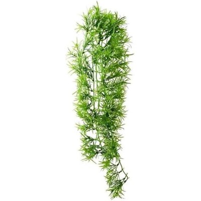 Hobby Tropica 70 cm – Zboží Mobilmania