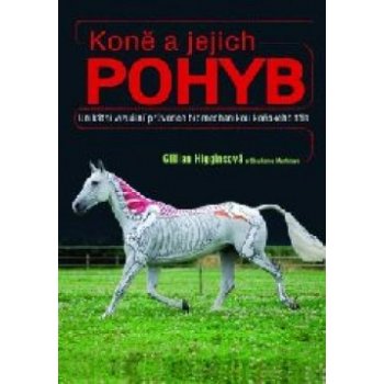 Koně a jejich pohyb