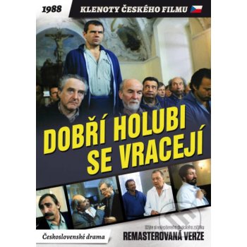 Dobří holubi se vracejí DVD