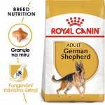 Royal Canin German Shepherd Adult 12 kg – Hledejceny.cz