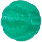 Dog Fantasy Dental Mint zelený 5 cm – Hledejceny.cz