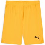 Puma teamGOAL Shorts – Zboží Mobilmania