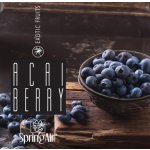 Spring Air Náplň do velkoprostorového osvěžovače Spring Air CryptoScent ACAI BERRY 1000 ml – Sleviste.cz