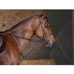 RIDING Pevný martingal WORLD black – Zboží Dáma
