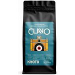 Coffee Plant KYOTO Guatemala Clavo praná espresso zrnková 250 g – Hledejceny.cz
