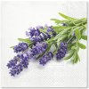 Ubrousky TaT Paw Ubrousky Lavender Bunch 33x33cm