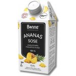 Bonne Ovocné pyré Ananas 0,5 l – Hledejceny.cz