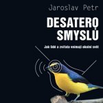 Desatero smyslů MP3 download – Hledejceny.cz
