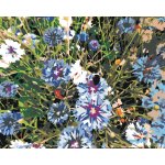 Zuty Malování podle čísel CHRPY MODRÉ – Zboží Dáma