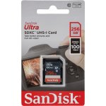 SanDisk SDXC 256 GB SDSDUNR-256G-GN3IN – Hledejceny.cz