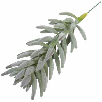 Umělá rostlina Senecio haworthii 21 cm